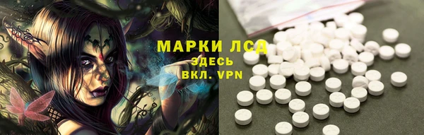 винт Верея