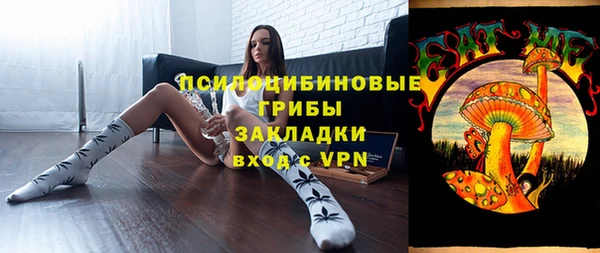 винт Верея
