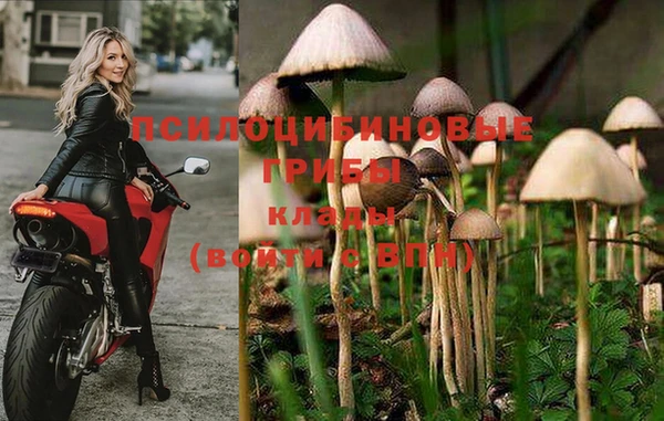 винт Верея